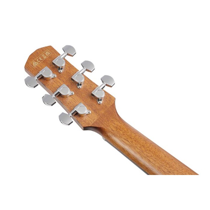 Ibanez - AAM54CEOPN