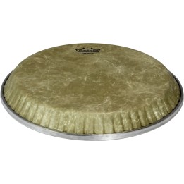 Remo - M2-1225-F6-D1