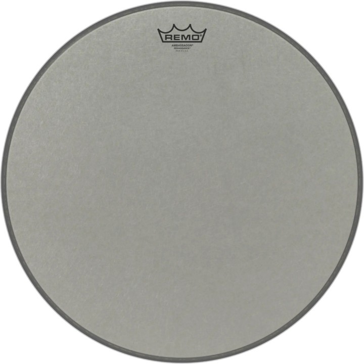 Remo - RA-1018-SS Ambassador Renaissance