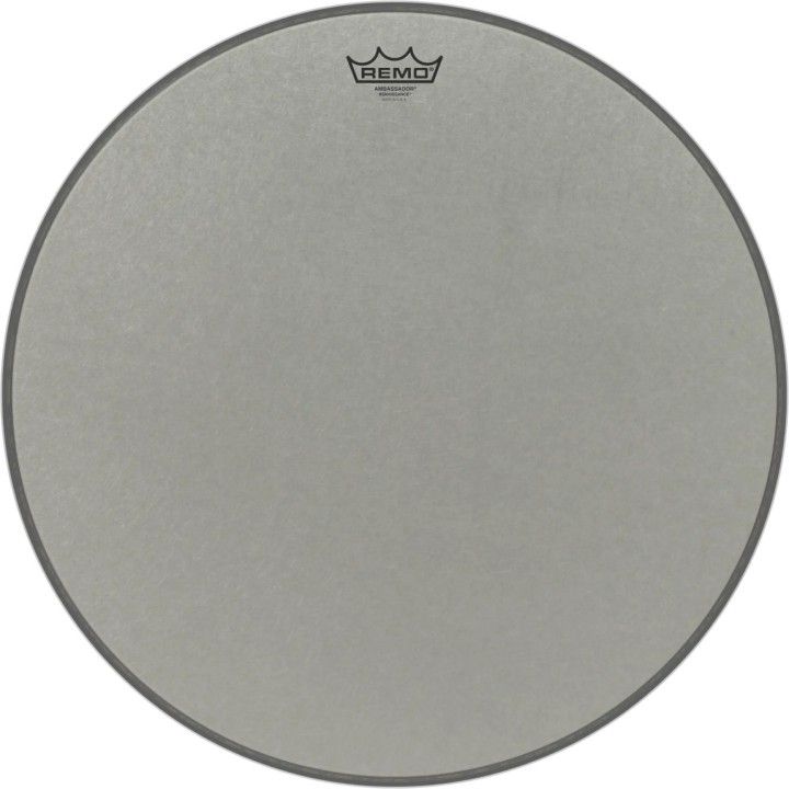 Remo - RA-1020-SS Ambassador Renaissance