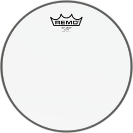 Remo - BD-0310-00 Diplomat Clear