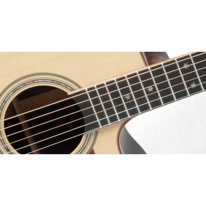 Takamine - TAK-P7DC