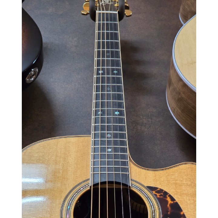 Takamine - TAK-P7DC