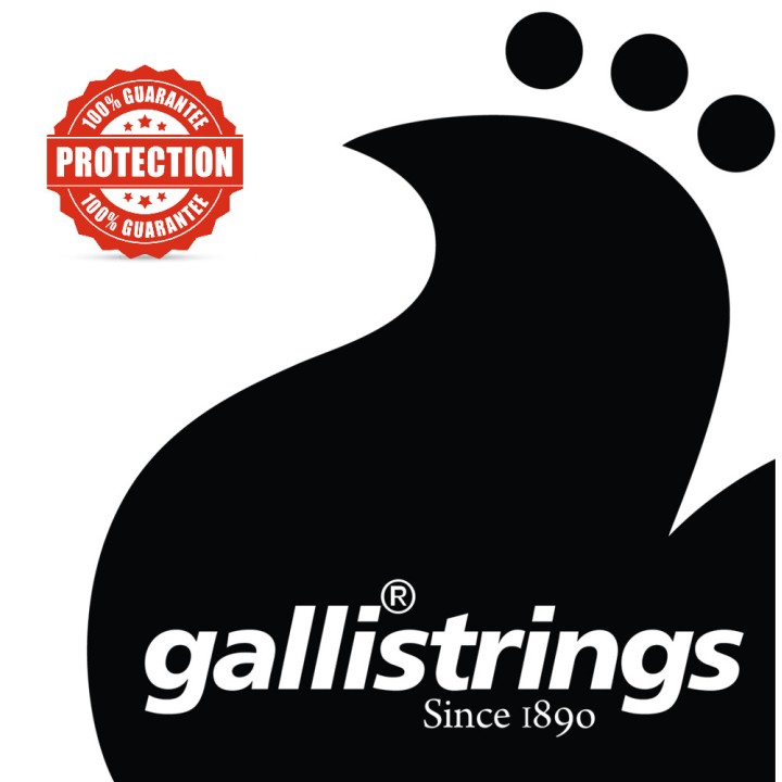Acquista GALLI STRINGS STRINGS JF4505 online | Merula Strumenti Musicali