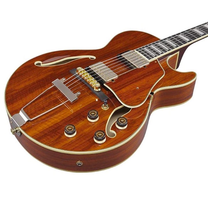 Ibanez AG95KNT - chitarra elettrica hollow body