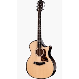 Taylor - Builder's Edition 514ce, Natural Top
