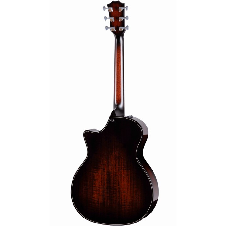 Taylor - Builder's Edition 514ce, Natural Top