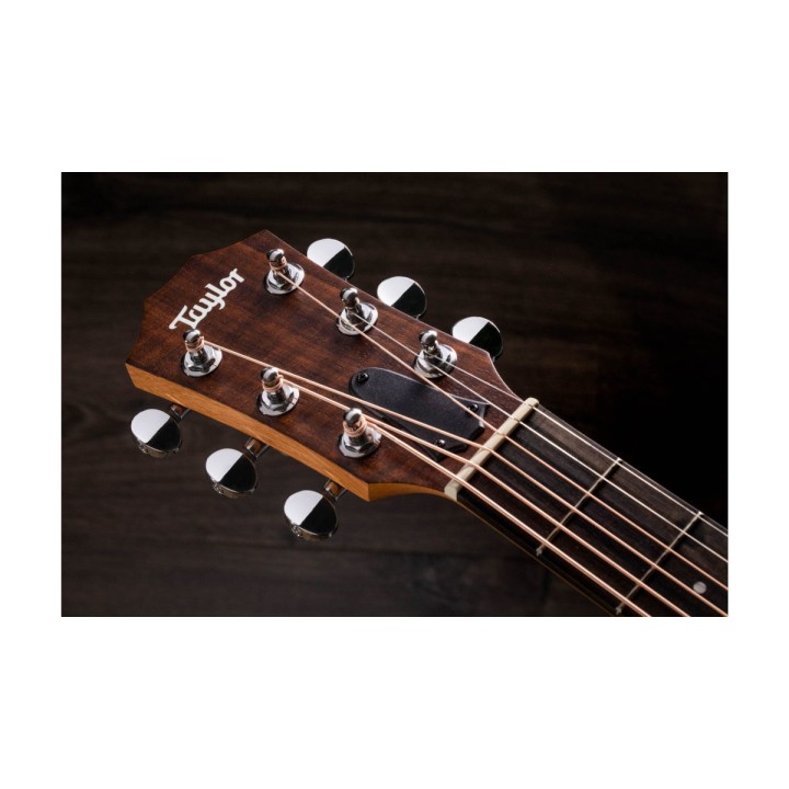 Taylor - GS Mini Mahogany