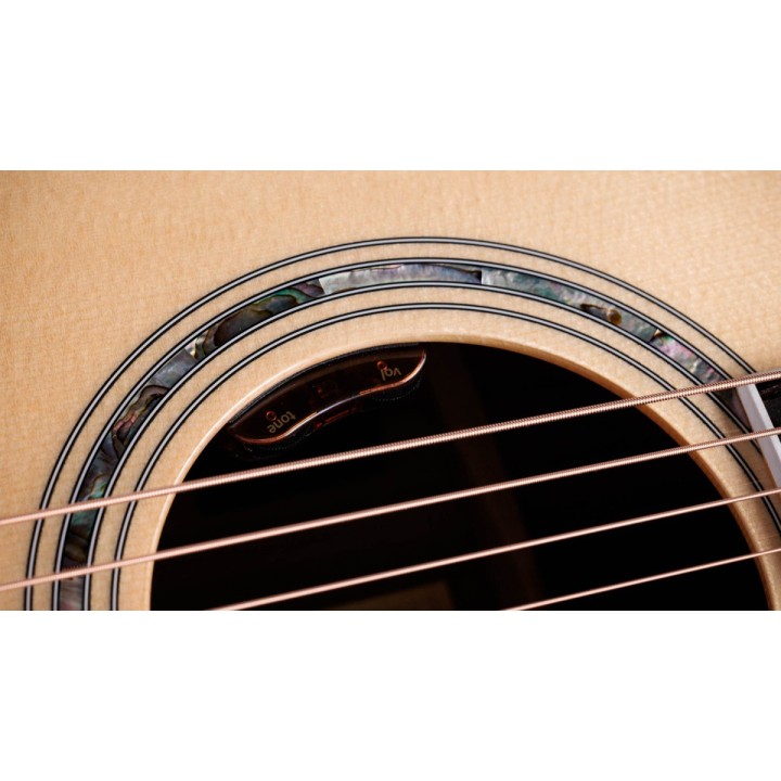 Taylor - Legacy 810e - Limited To 250 Units Worldwide
