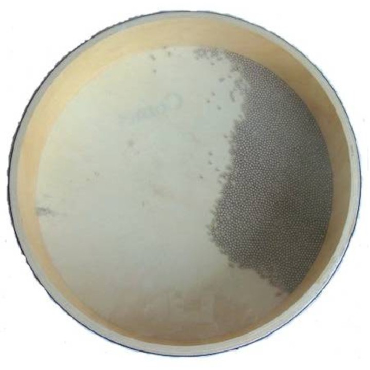 Acquista CROSON Ocean Drum - C3015341 online | Merula Strumenti Musicali
