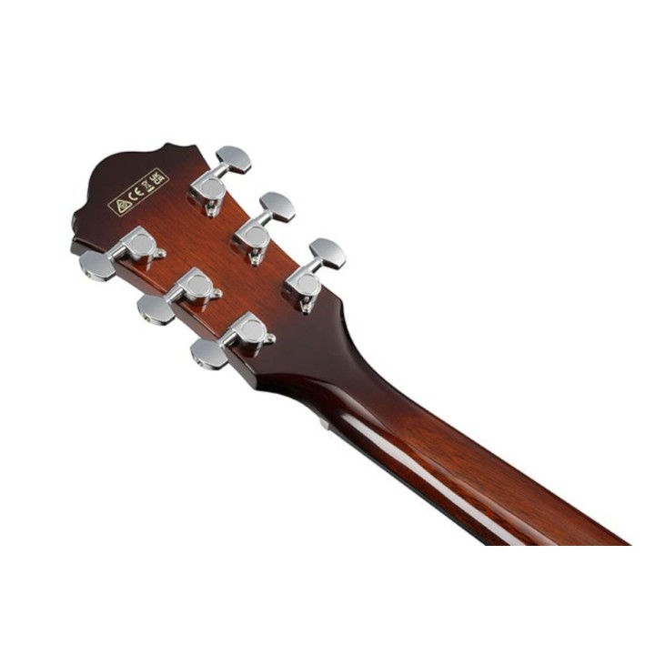 Ibanez - AE160VMS