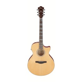 Ibanez - AE170NTR