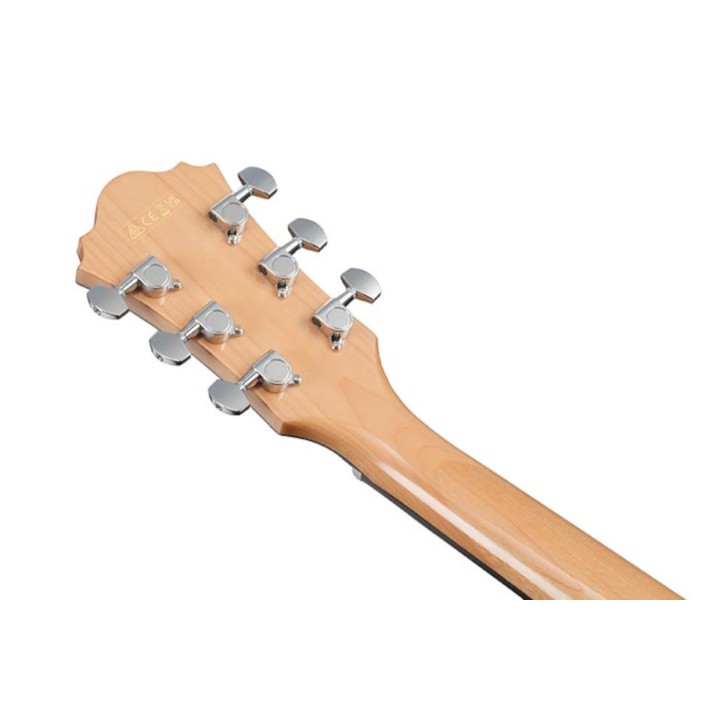 Ibanez - AE170NTR
