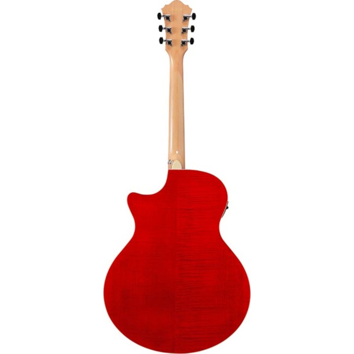 Ibanez - AE170NTR