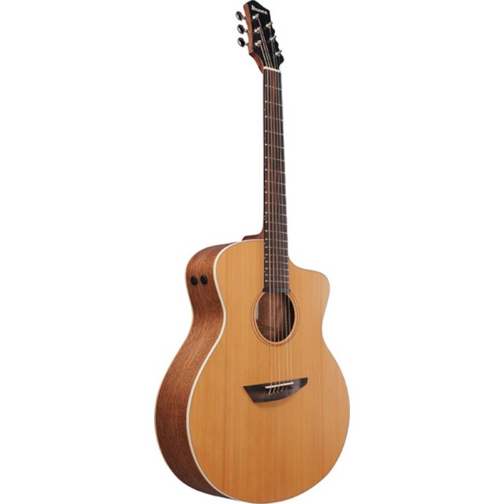 Ibanez - Pa230e Nsl