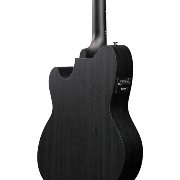 Ibanez - TCY621BOT