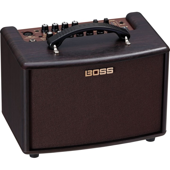 Boss - AC-22LX