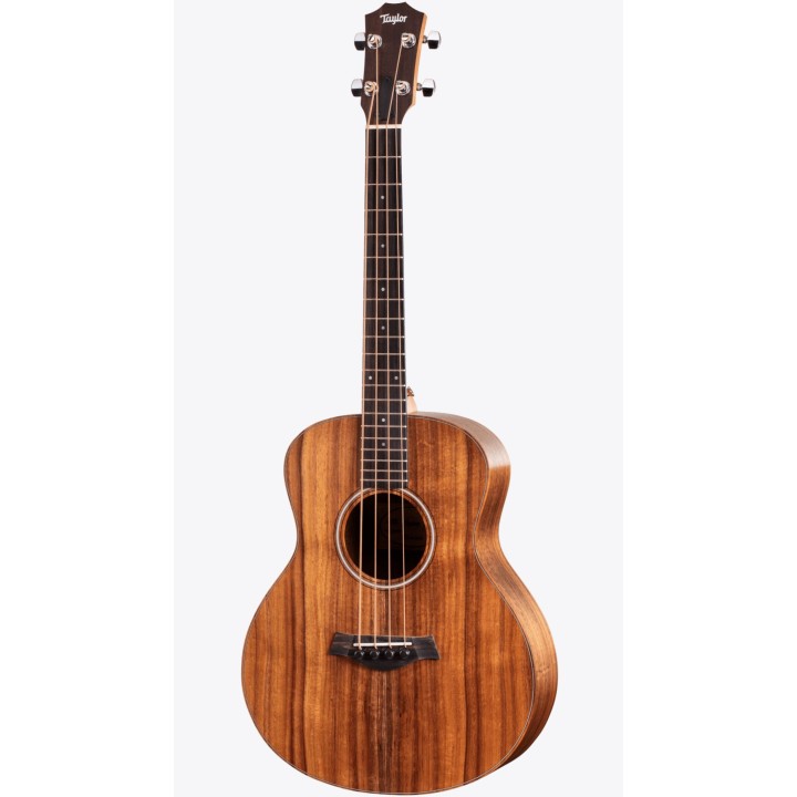 Taylor - Gs Mini-E Koa Lh