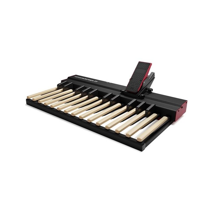 Acquista Nord Pedal Keys Pk25 online | Merula Strumenti Musicali