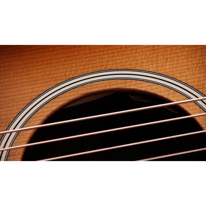 Taylor - Gold Label 517e Sb Cream Pg