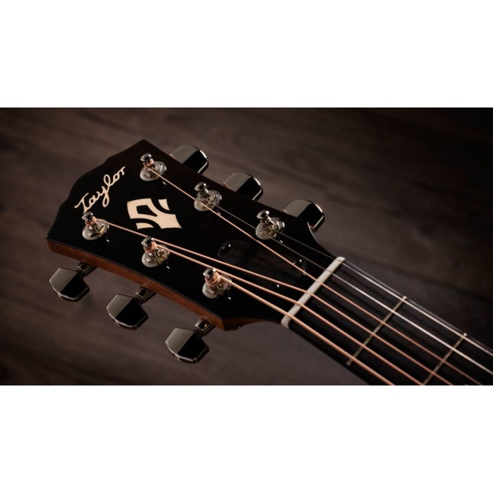 Taylor - Gold Label 517e Sb Cream Pg