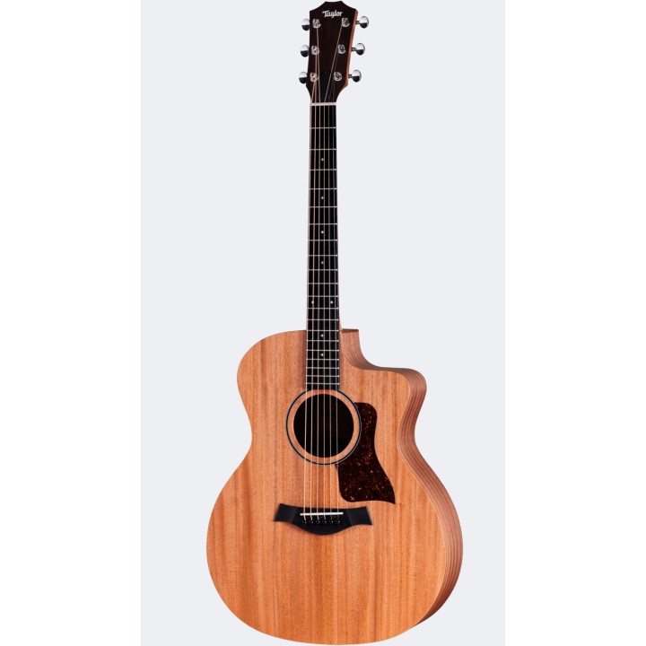 Taylor - 24ce - New