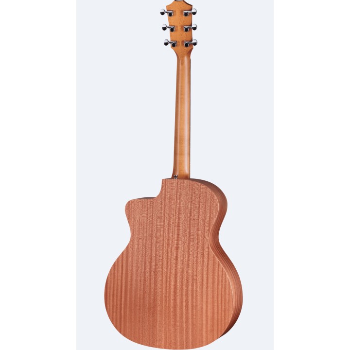 Taylor - 24ce - New
