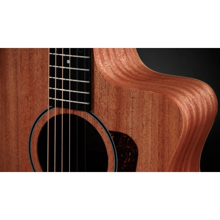 Taylor - 24ce - New