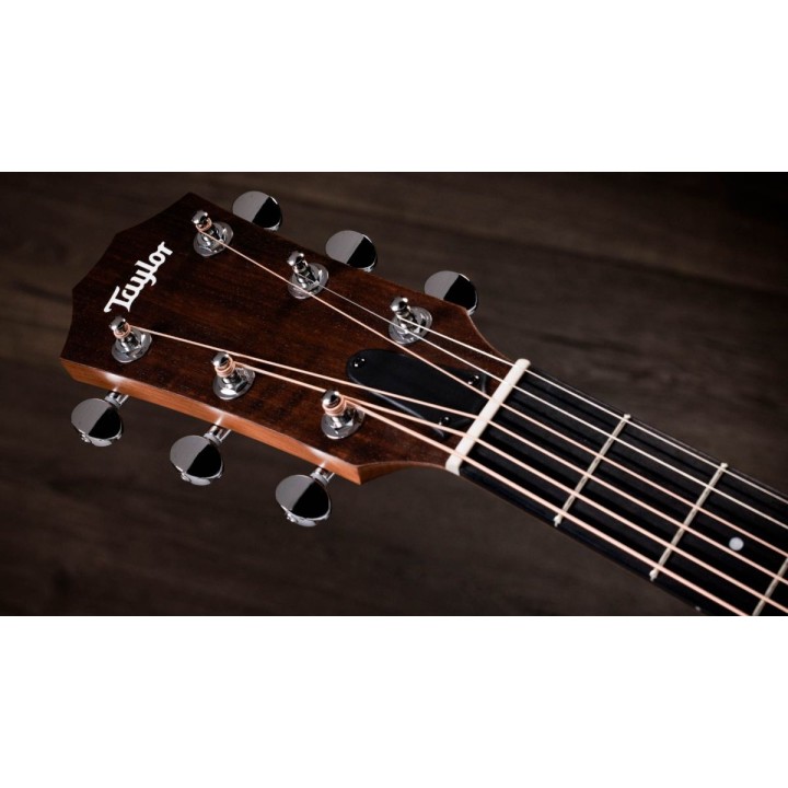 Taylor - 24ce - New