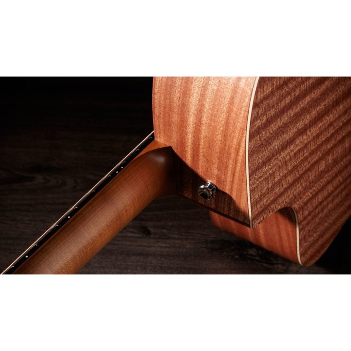 Taylor - 24ce - New