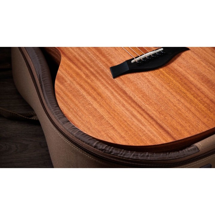 Taylor - 24ce - New
