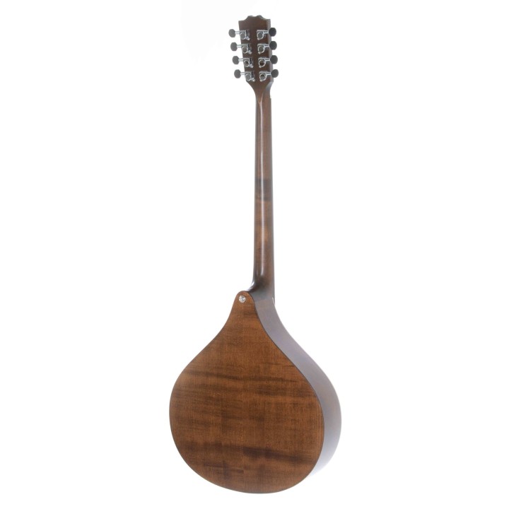 Gewa - Bouzouki Irlandese Pro Arte Antique Antique 513965