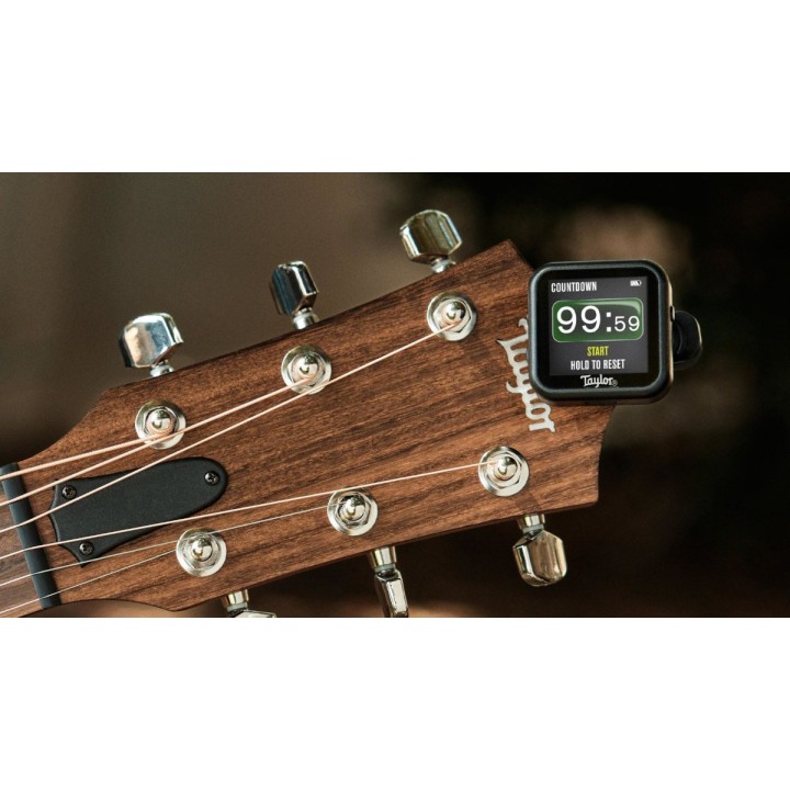 Taylor - 1201 Accordatore Beacon, Black