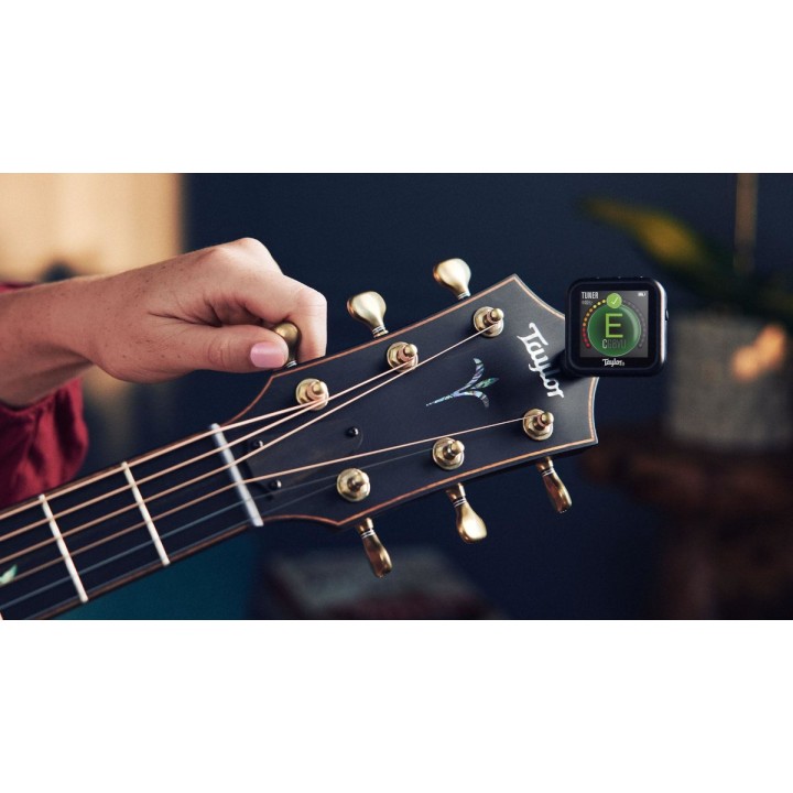 Taylor - 1201 Accordatore Beacon, Black