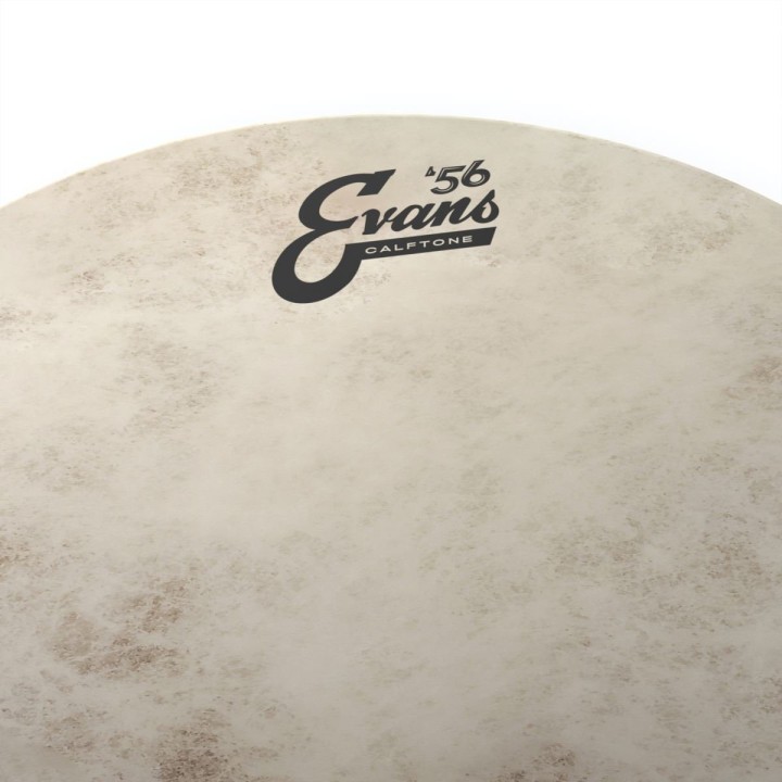 Evans Calftone Tom Batter 14" - Pelle per Tom