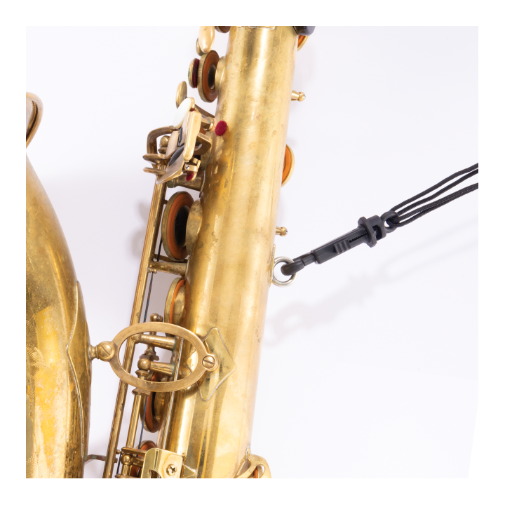 D'ADDARIO | SLA 18