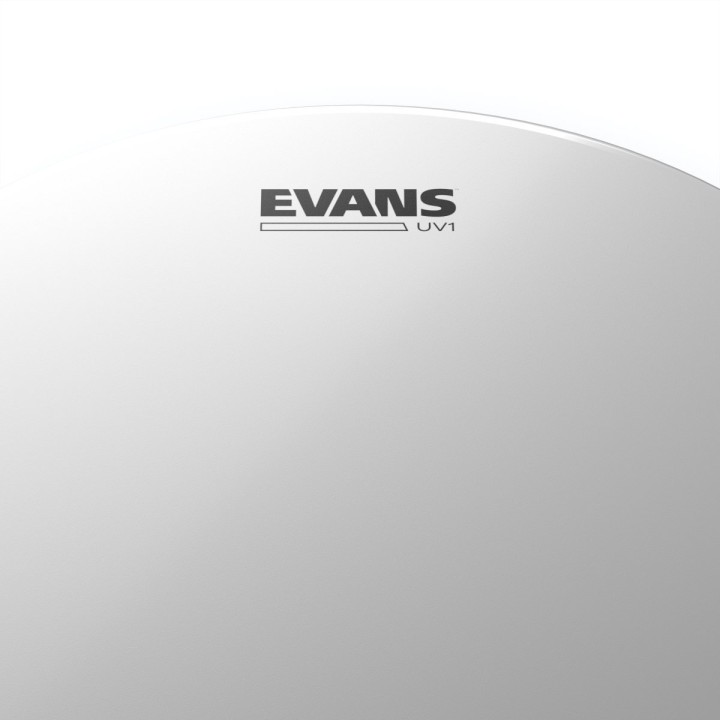 Evans UV1 Coated Drum Head 13" - Pelle battente per tom/rullante
