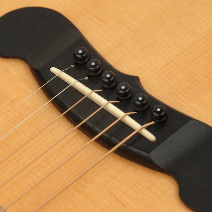 D'Addario - PWPS10 Injected Molded Bridge Pins With End Pin Set, Ebony With Ivory Dot
