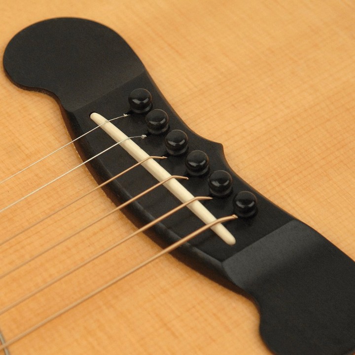 D'Addario - PWPS1 Ebony Bridge Pins With End Pin Set, Ebony