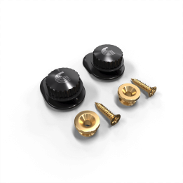 D'Addario - PW-SLS-03 Universal Strap Lock System, Gold