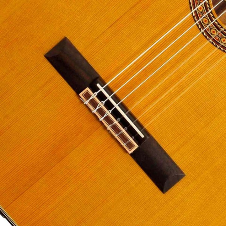 Takamine  EC132SC Classica Ctw Elet Pro Series