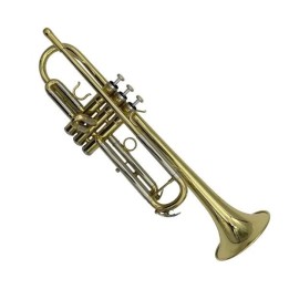 RIPAMONTI | 6010