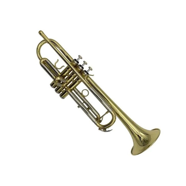RIPAMONTI | 6010