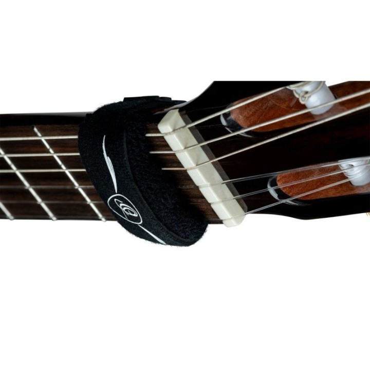 Ortega - OSMU-S