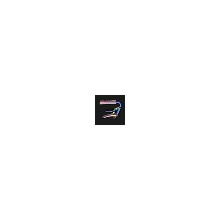 SHUBB - C1P 