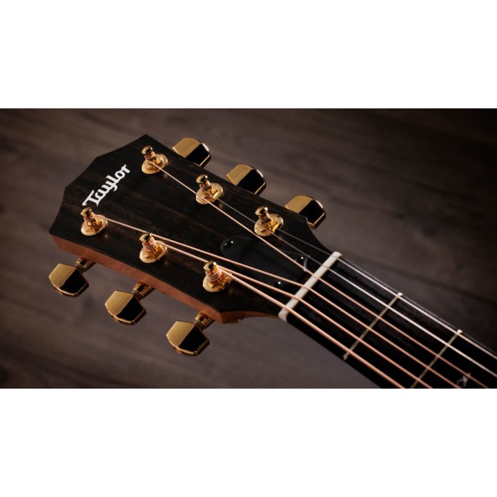 Taylor - Sunset Blvd 214ce Dlx Seb, Rosewood/Sitka