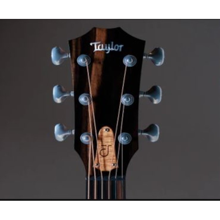 Taylor - Jacob Collier Signature Model Jcsm-6