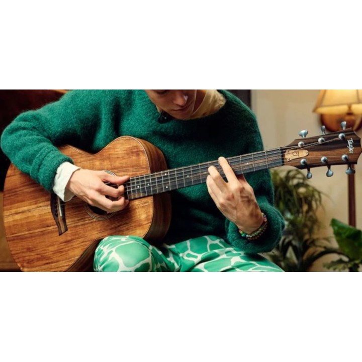 Taylor - Jacob Collier Signature Model Jcsm-6
