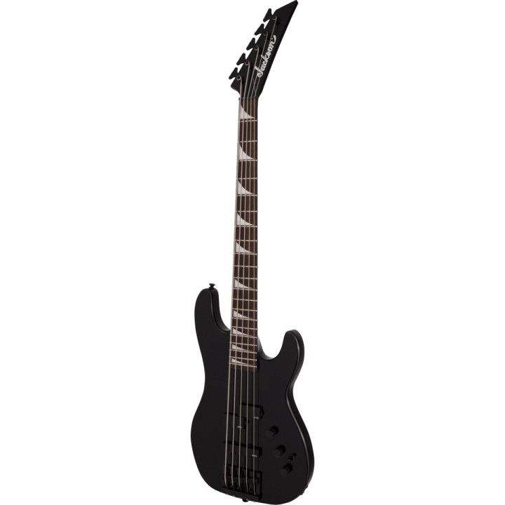 Jackson X Series Signature David Ellefson 30th Anniversary