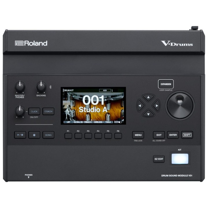 Roland V31 - Modulo sonoro